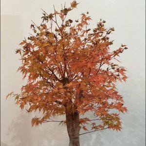 Meet your Posher, Steele